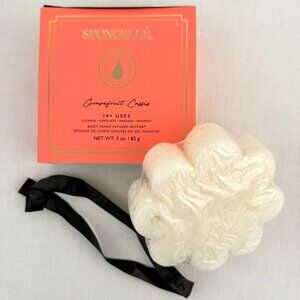 Spongelle Body Wash Buffer Grapefruit Cassis 3oz 14 Uses Spa Cleanse Exfoliate